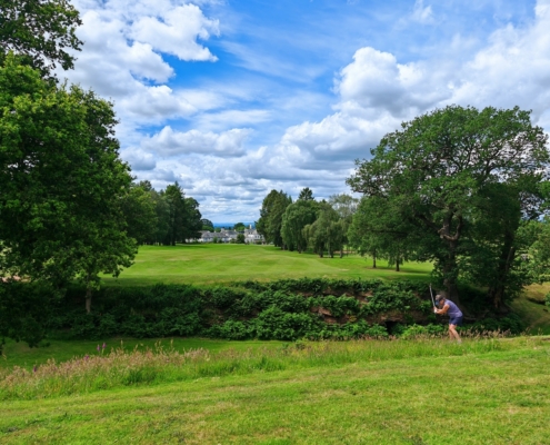 202606hawkstone01