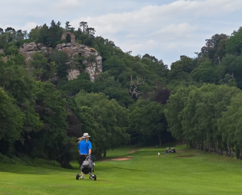 202606hawkstone02