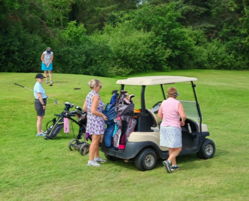 202606hawkstone07